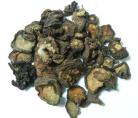 10g Dried Peyote Cactus