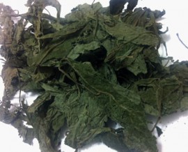 1kg Salvia divinorum Foliage