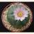 Click to enlarge