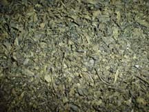 Salvia 20x Gram